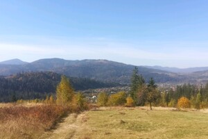 Земля сельскохозяйственного назначения в Яремче, район Яремче, площадь 140 соток фото 2