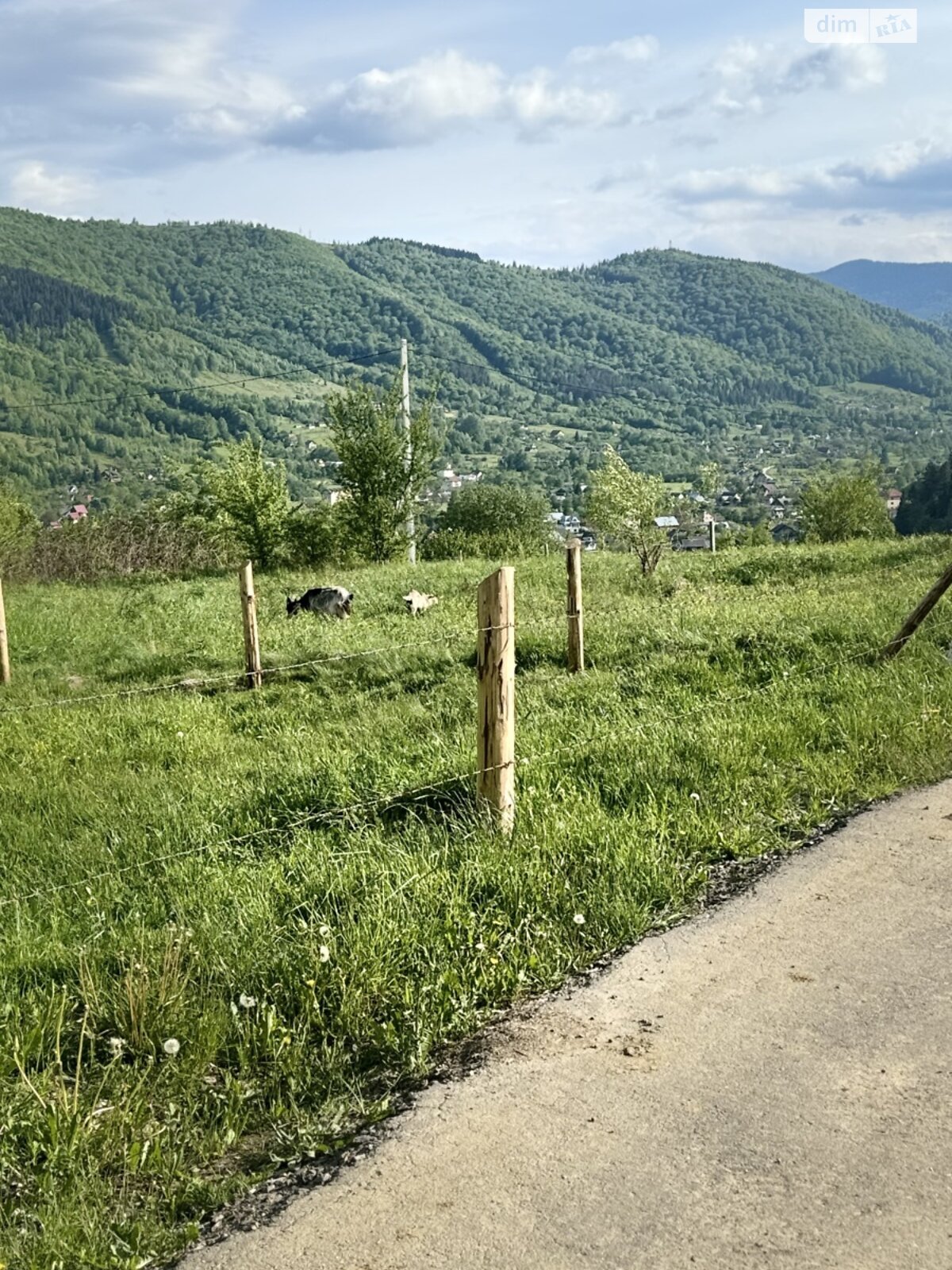 Земельный участок сельскохозяйственного назначения в Яремче, площадь 0.54 сотки фото 1 Земельный участок сельскохозяйственного назначения в Яремче, площадь 0.54 сотки фото 1