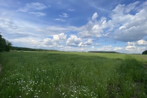 Земельна ділянка сільськогосподарського призначення в Яришівці, площа 100 соток фото 2