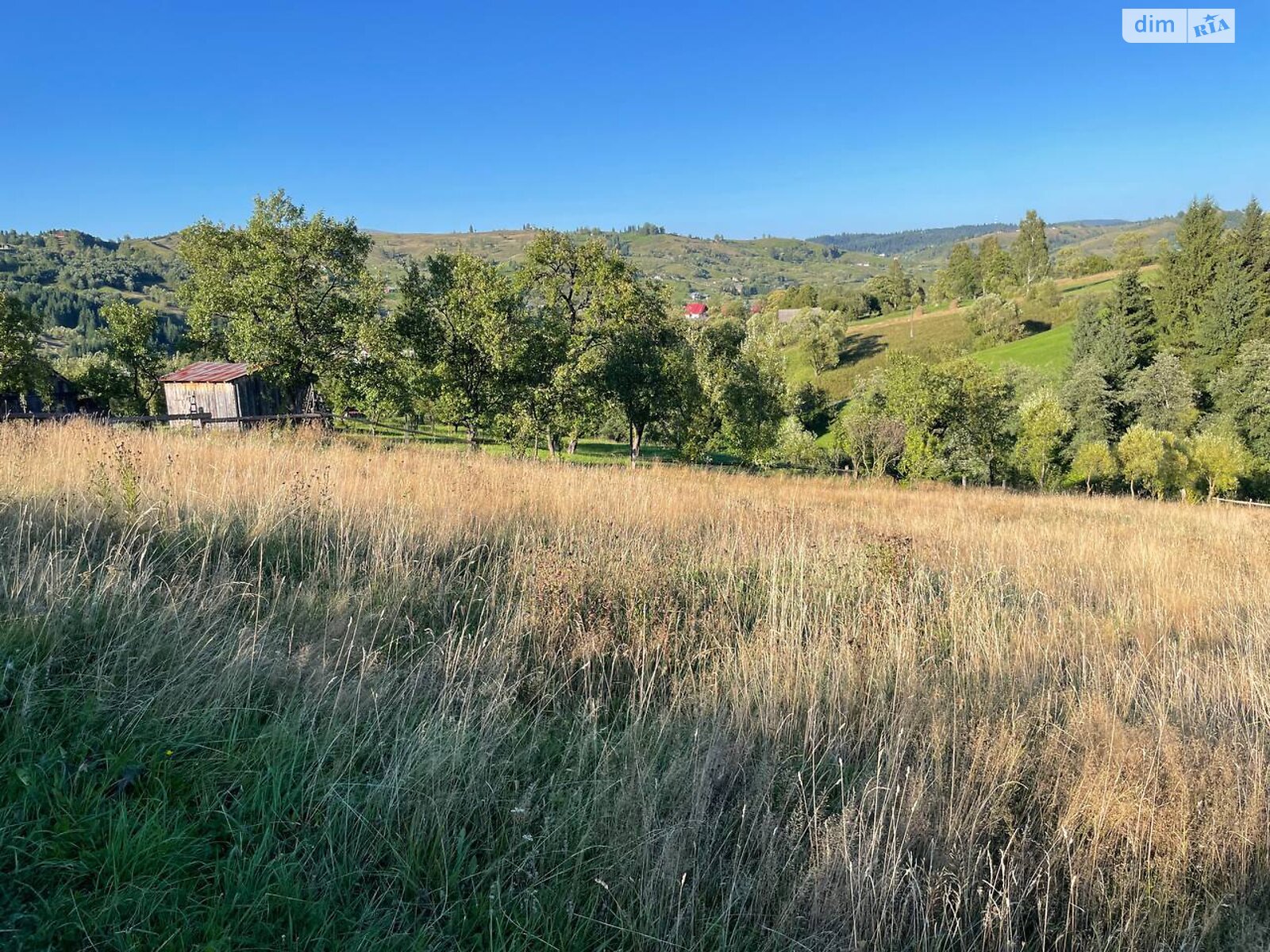 Земельный участок сельскохозяйственного назначения в Ясинях, площадь 28 соток фото 1 Земельный участок сельскохозяйственного назначения в Ясинях, площадь 28 соток фото 1