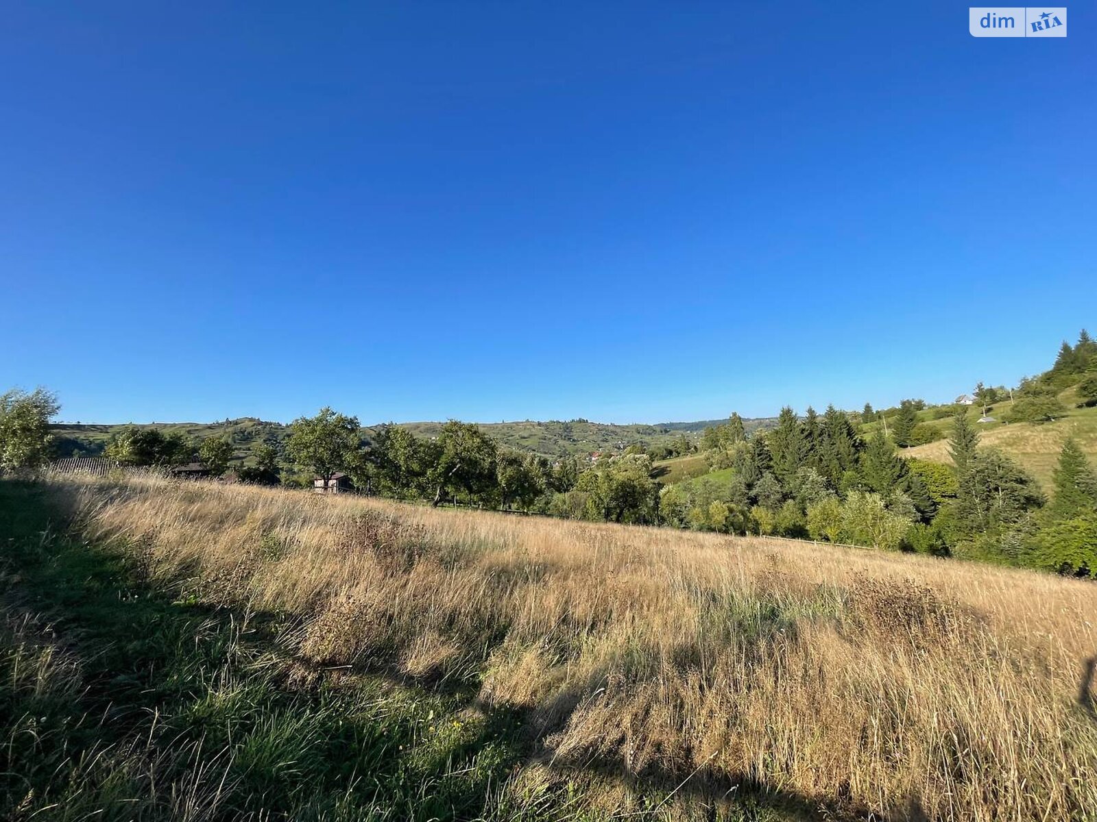 Земельный участок сельскохозяйственного назначения в Ясинях, площадь 28 соток фото 1 Земельный участок сельскохозяйственного назначения в Ясинях, площадь 28 соток фото 1