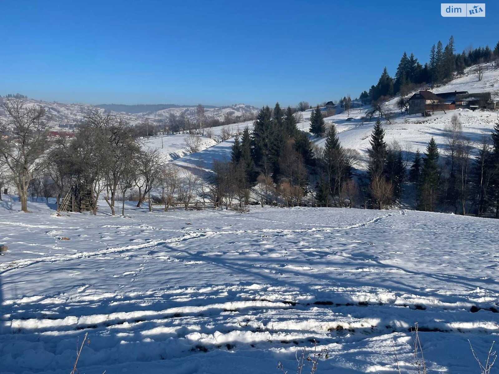 Земельный участок сельскохозяйственного назначения в Ясинях, площадь 28 соток фото 1 Земельный участок сельскохозяйственного назначения в Ясинях, площадь 28 соток фото 1