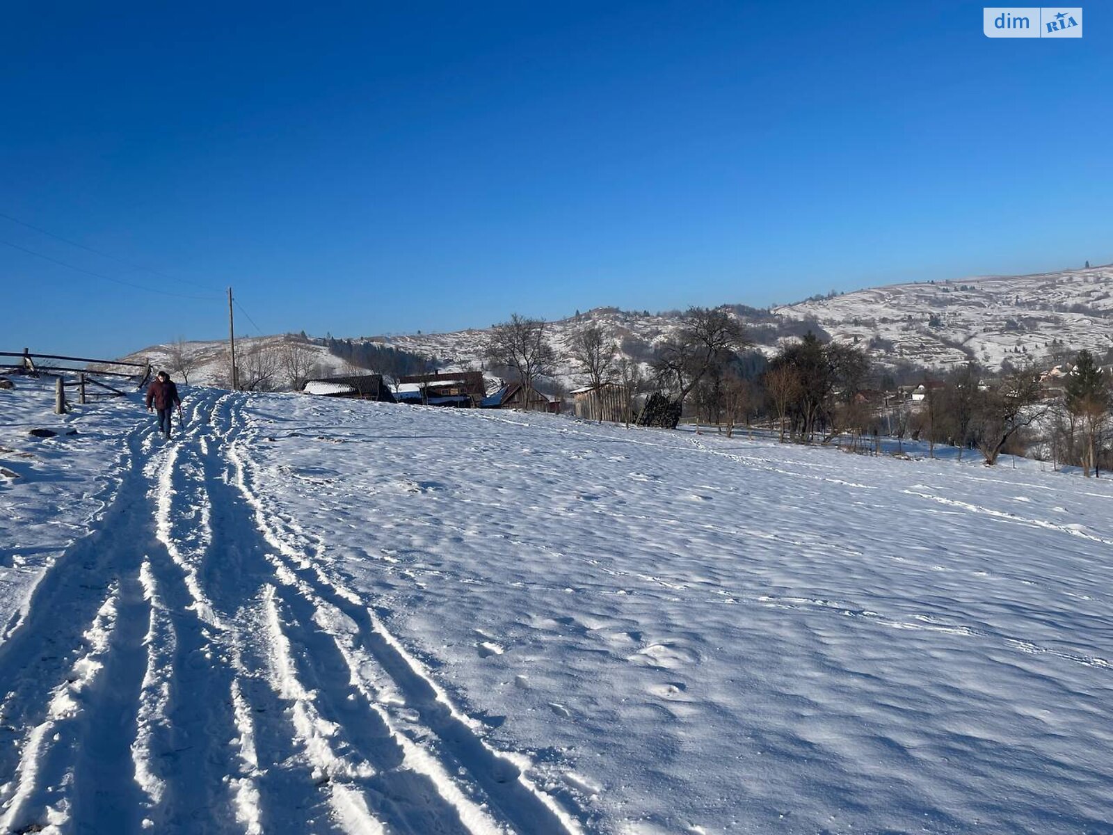 Земельный участок сельскохозяйственного назначения в Ясинях, площадь 28 соток фото 1 Земельный участок сельскохозяйственного назначения в Ясинях, площадь 28 соток фото 1