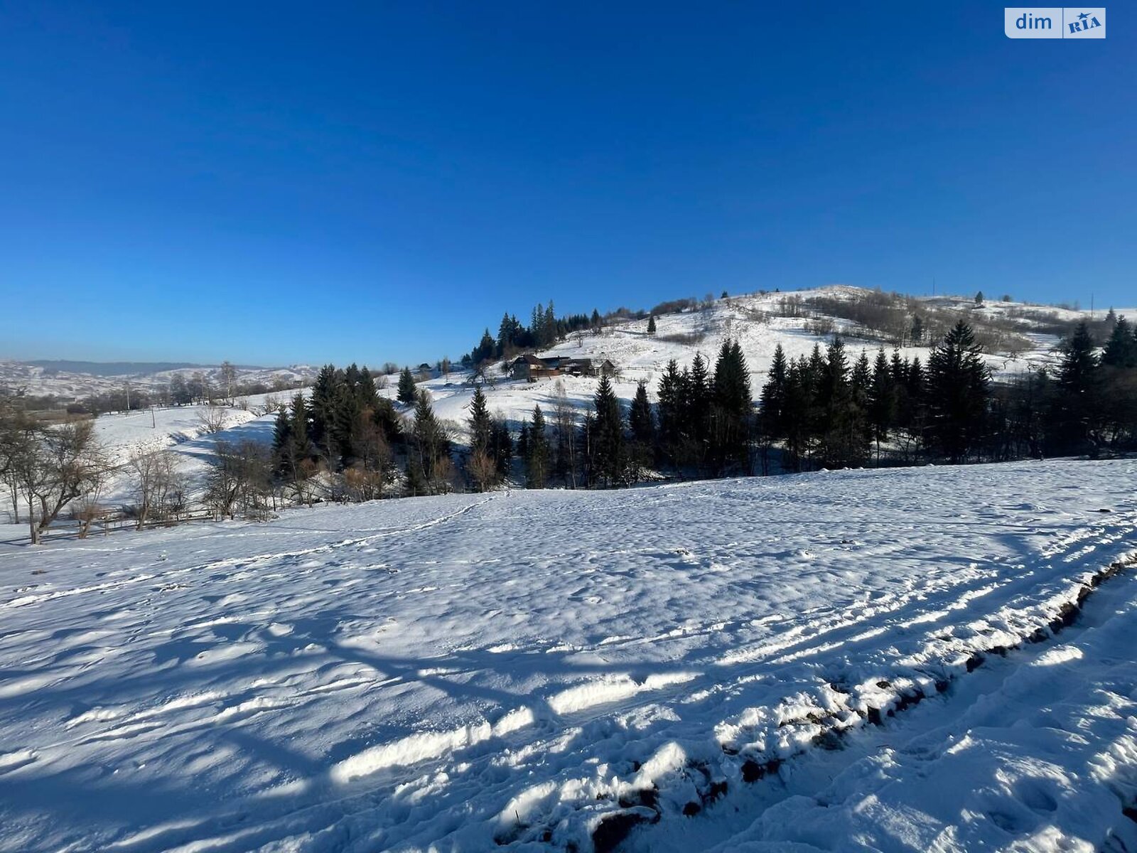 Земельный участок сельскохозяйственного назначения в Ясинях, площадь 28 соток фото 1 Земельный участок сельскохозяйственного назначения в Ясинях, площадь 28 соток фото 1