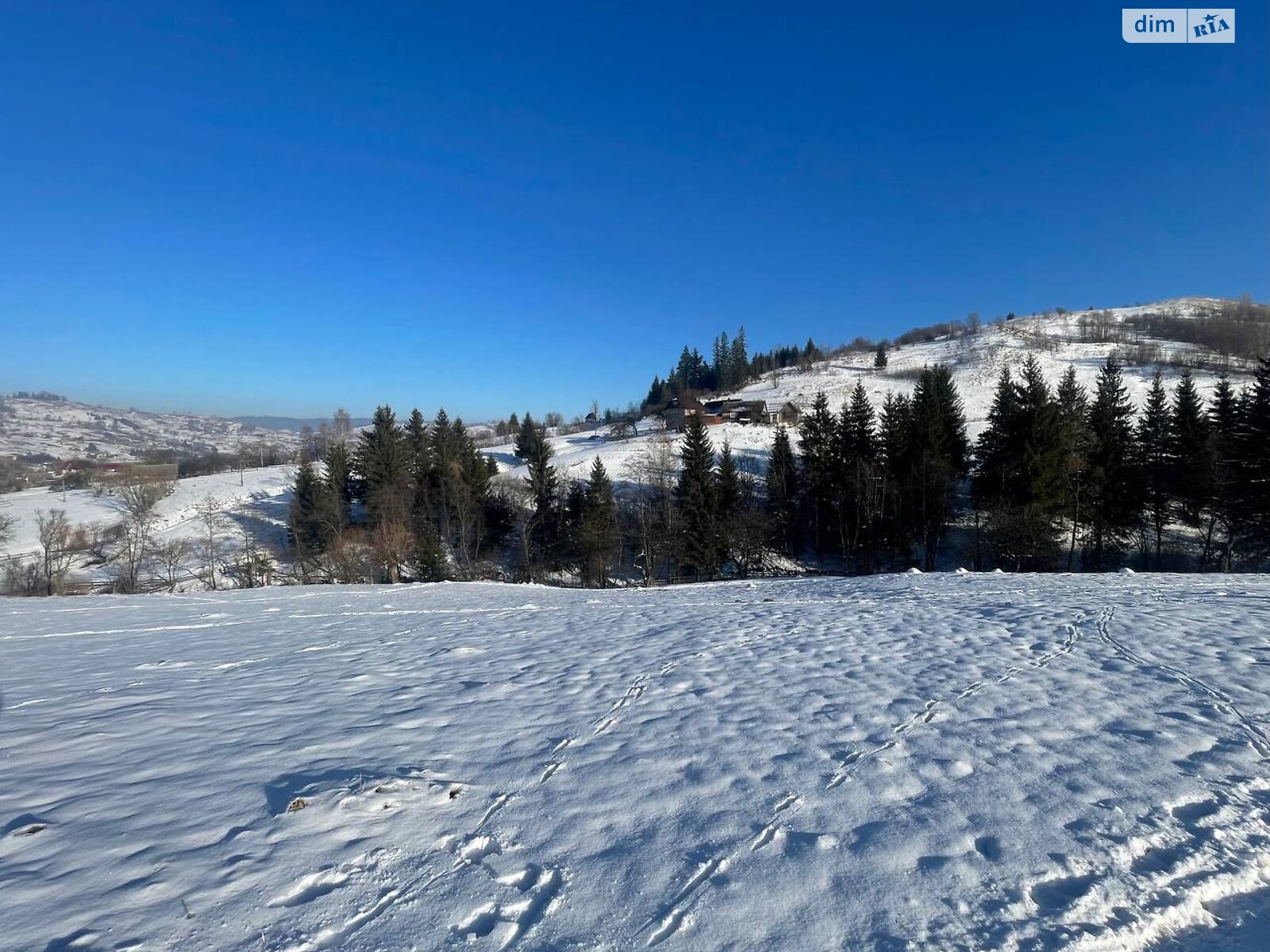 Земельный участок сельскохозяйственного назначения в Ясинях, площадь 28 соток фото 1 Земельный участок сельскохозяйственного назначения в Ясинях, площадь 28 соток фото 1