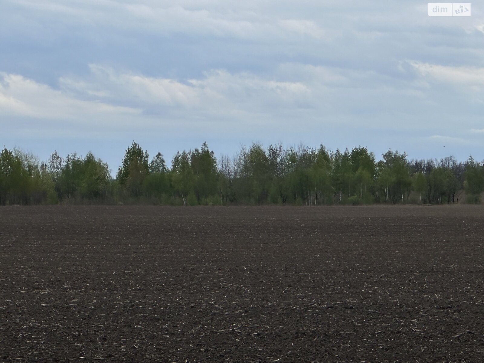 Земельный участок сельскохозяйственного назначения в Ясногородке, площадь 3 Га фото 1