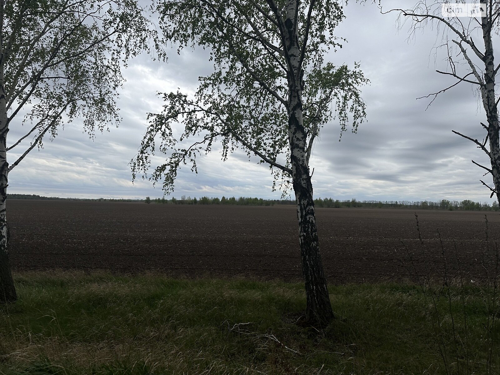 Земельный участок сельскохозяйственного назначения в Ясногородке, площадь 3 Га фото 1 Земельный участок сельскохозяйственного назначения в Ясногородке, площадь 3 Га фото 1