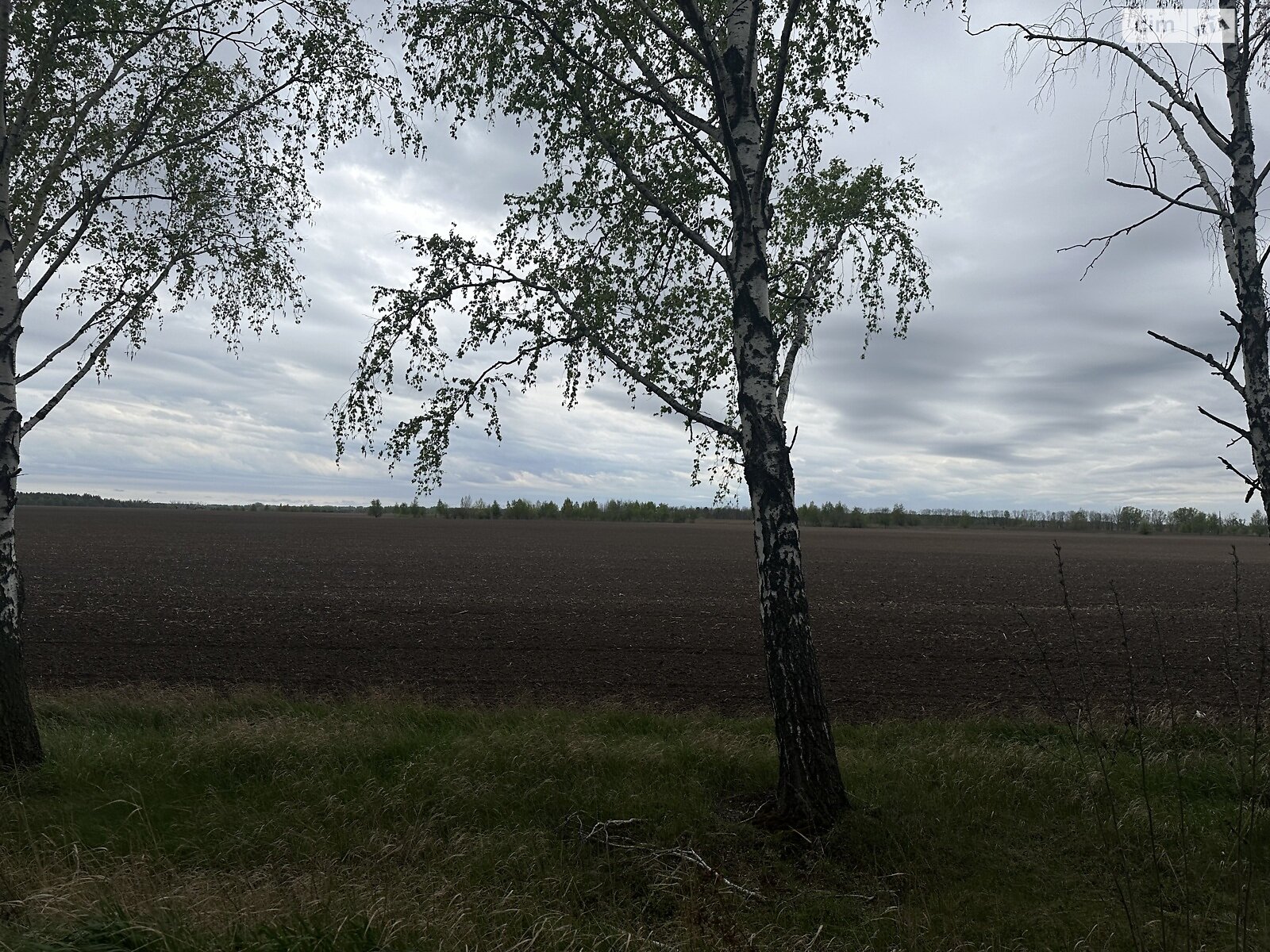 Земельный участок сельскохозяйственного назначения в Ясногородке, площадь 3 Га фото 1