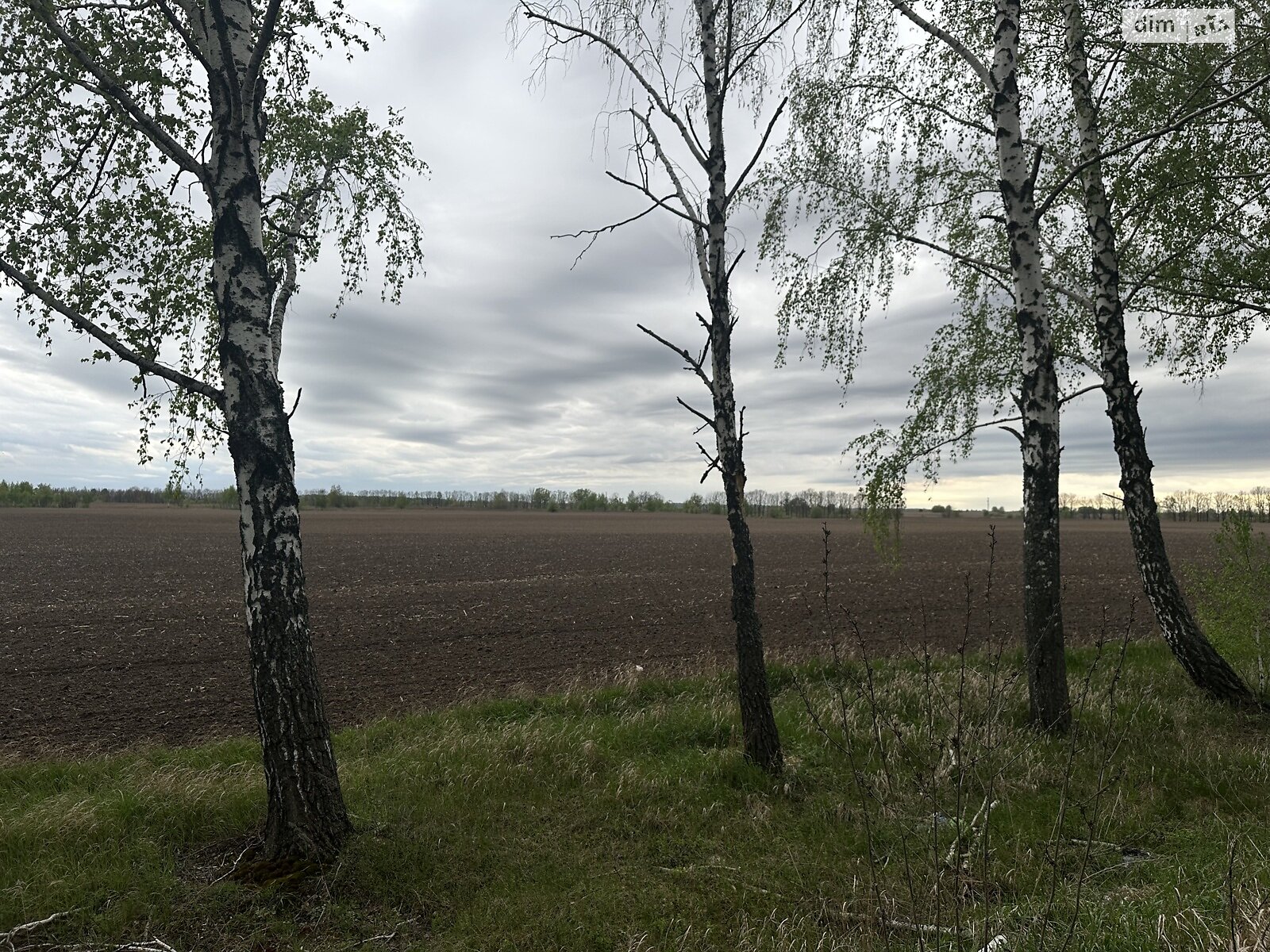 Земельный участок сельскохозяйственного назначения в Ясногородке, площадь 3 Га фото 1