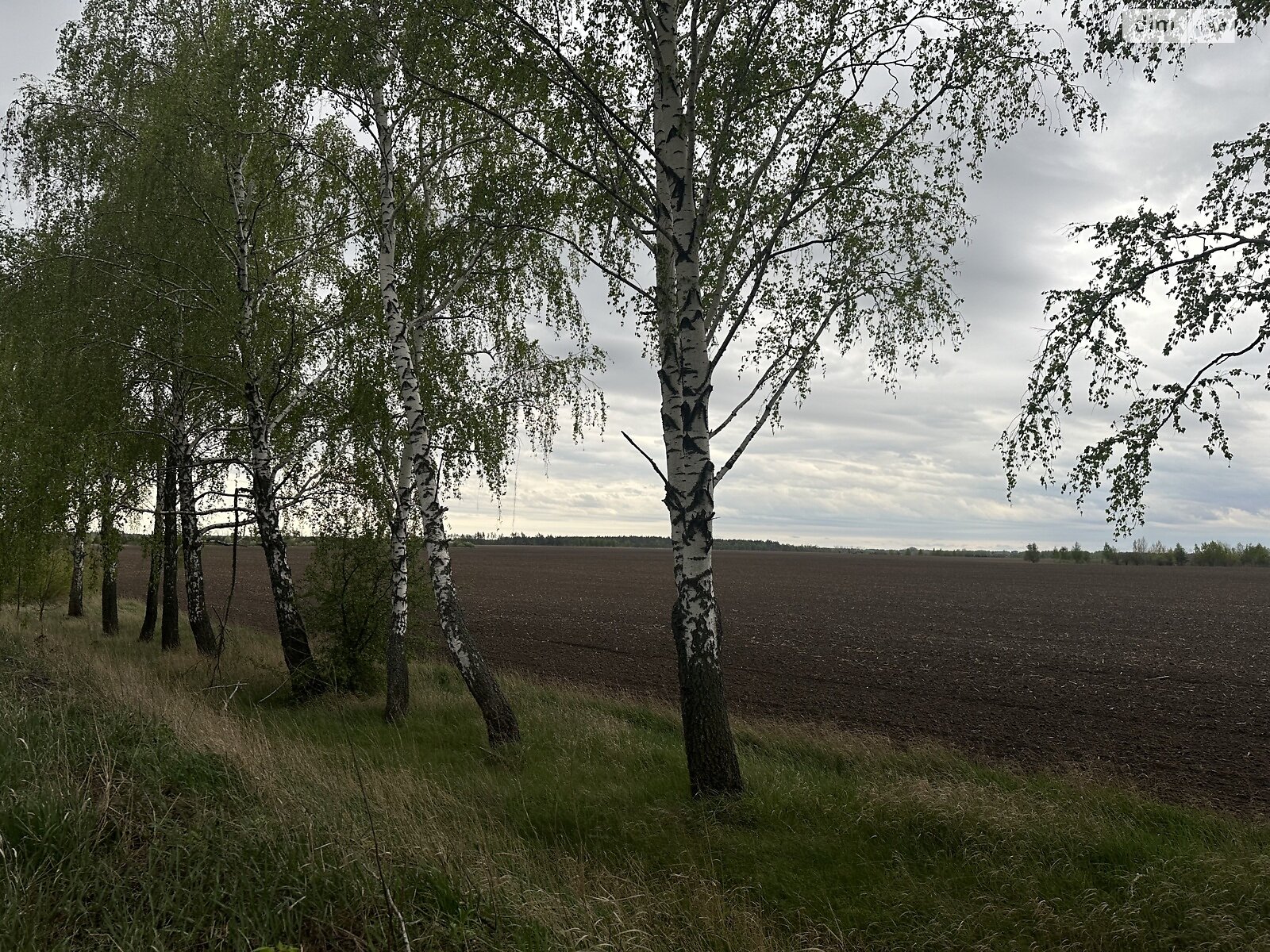 Земельный участок сельскохозяйственного назначения в Ясногородке, площадь 3 Га фото 1 Земельный участок сельскохозяйственного назначения в Ясногородке, площадь 3 Га фото 1