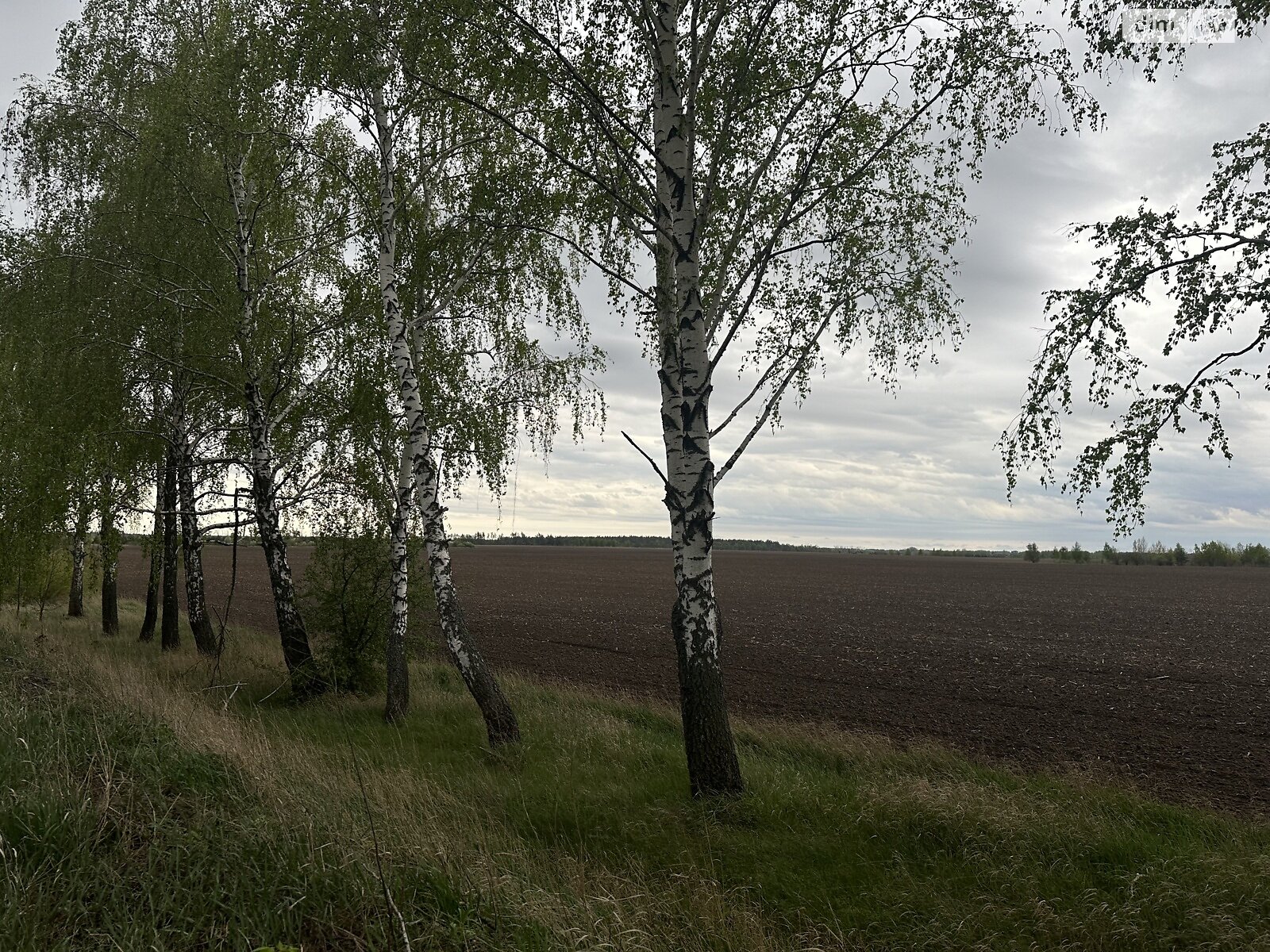 Земельный участок сельскохозяйственного назначения в Ясногородке, площадь 3 Га фото 1