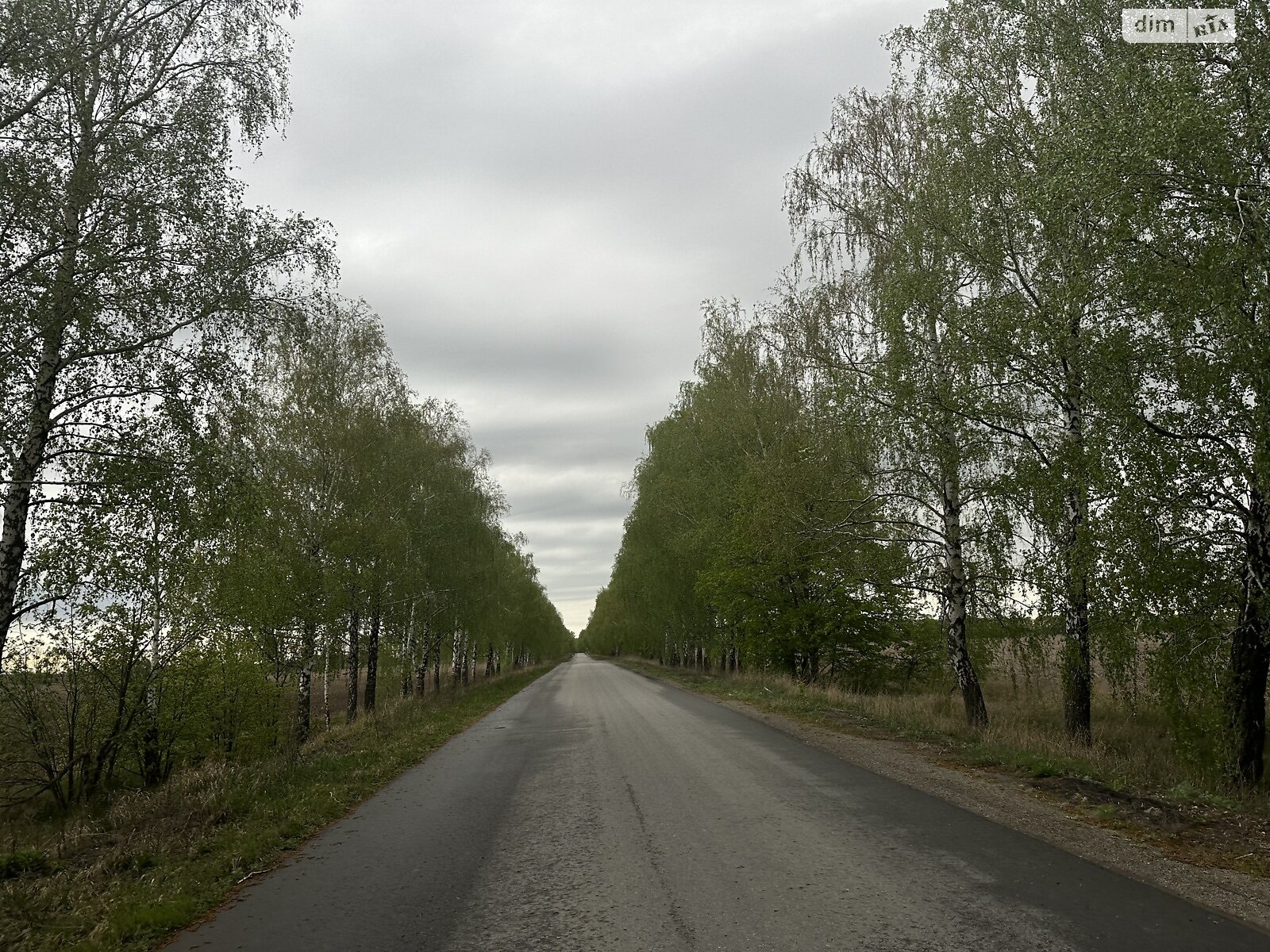 Земельный участок сельскохозяйственного назначения в Ясногородке, площадь 3 Га фото 1