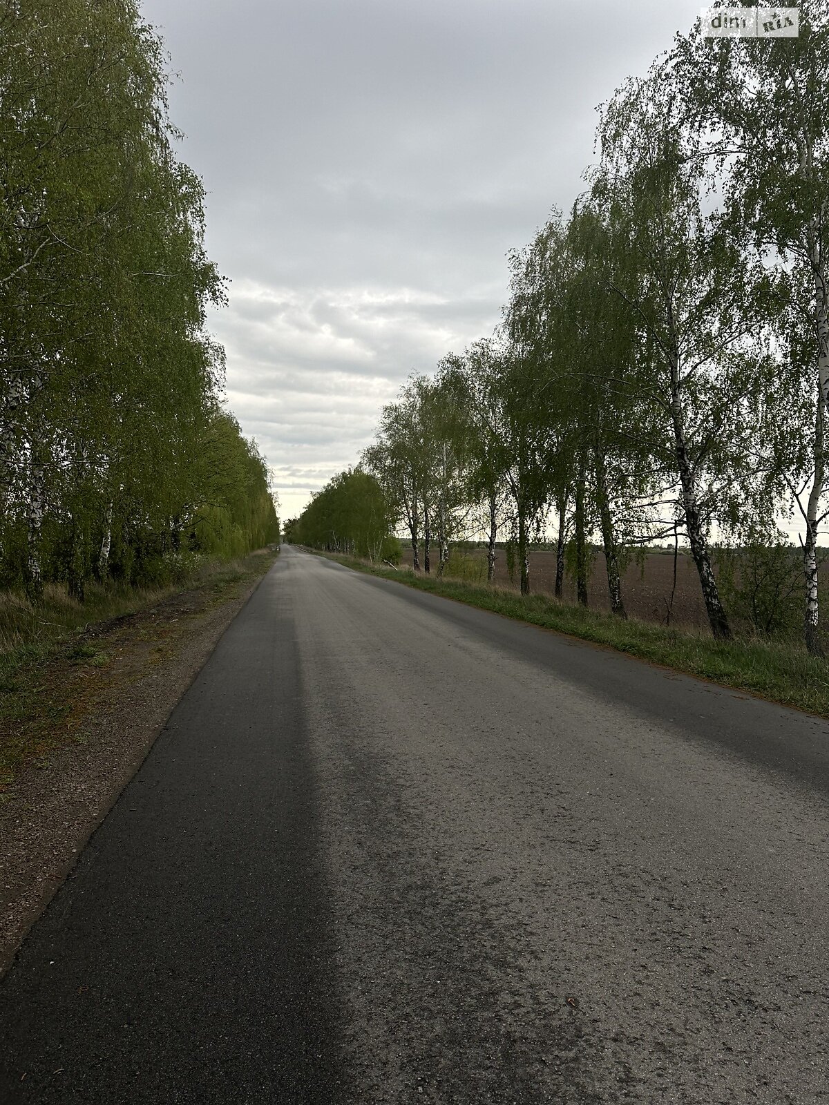 Земельный участок сельскохозяйственного назначения в Ясногородке, площадь 3 Га фото 1