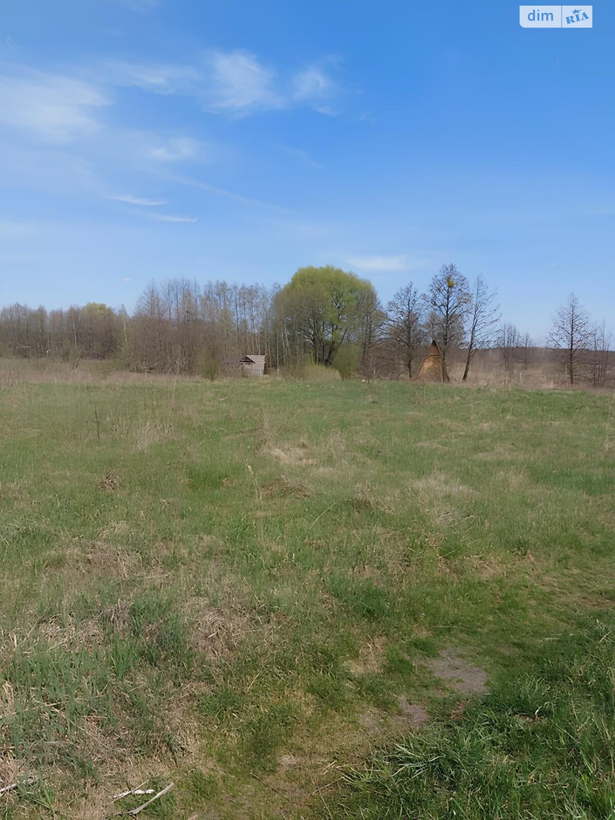 Земельна ділянка сільськогосподарського призначення в Ясногородці, площа 76.52 сотки фото 1 Земельна ділянка сільськогосподарського призначення в Ясногородці, площа 76.52 сотки фото 1