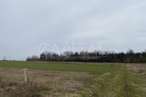Земельный участок сельскохозяйственного назначения в Юровке, площадь 50 соток фото 2