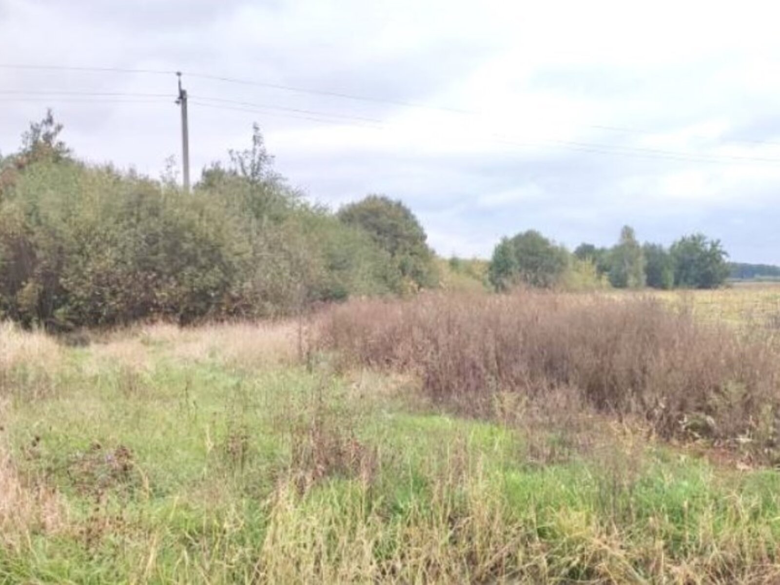 Земельный участок сельскохозяйственного назначения в Юзвине, площадь 200 соток фото 1