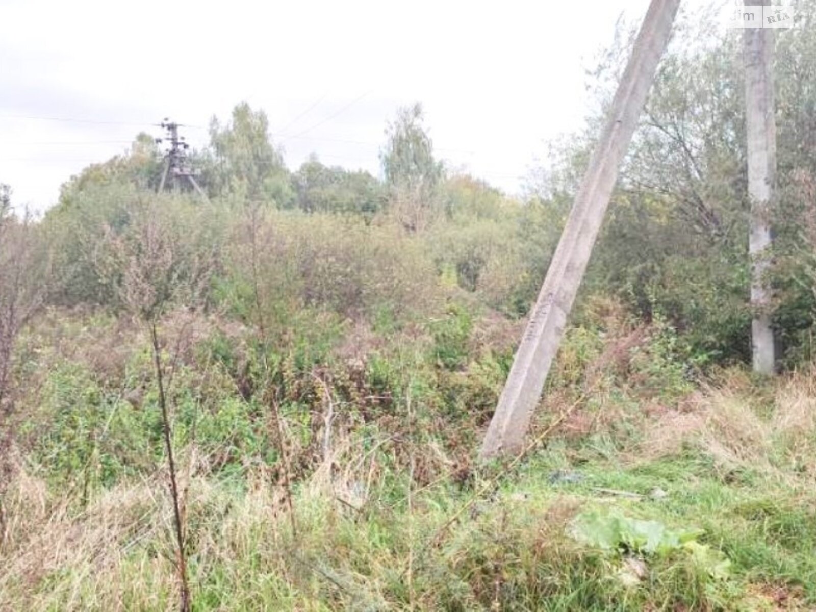 Земельный участок сельскохозяйственного назначения в Юзвине, площадь 200 соток фото 1