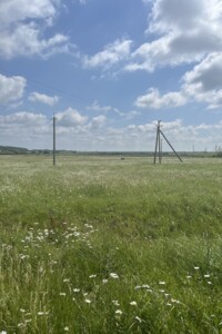 Земельна ділянка сільськогосподарського призначення в Заборолі, площа 73 сотки фото 2