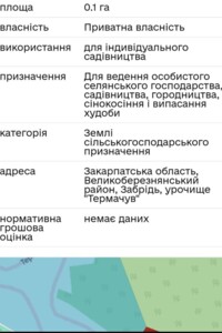 Земельна ділянка сільськогосподарського призначення в Забріді, площа 10 соток фото 2