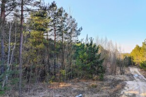 Земельна ділянка сільськогосподарського призначення в Забуччі, площа 7.97 сотки фото 2