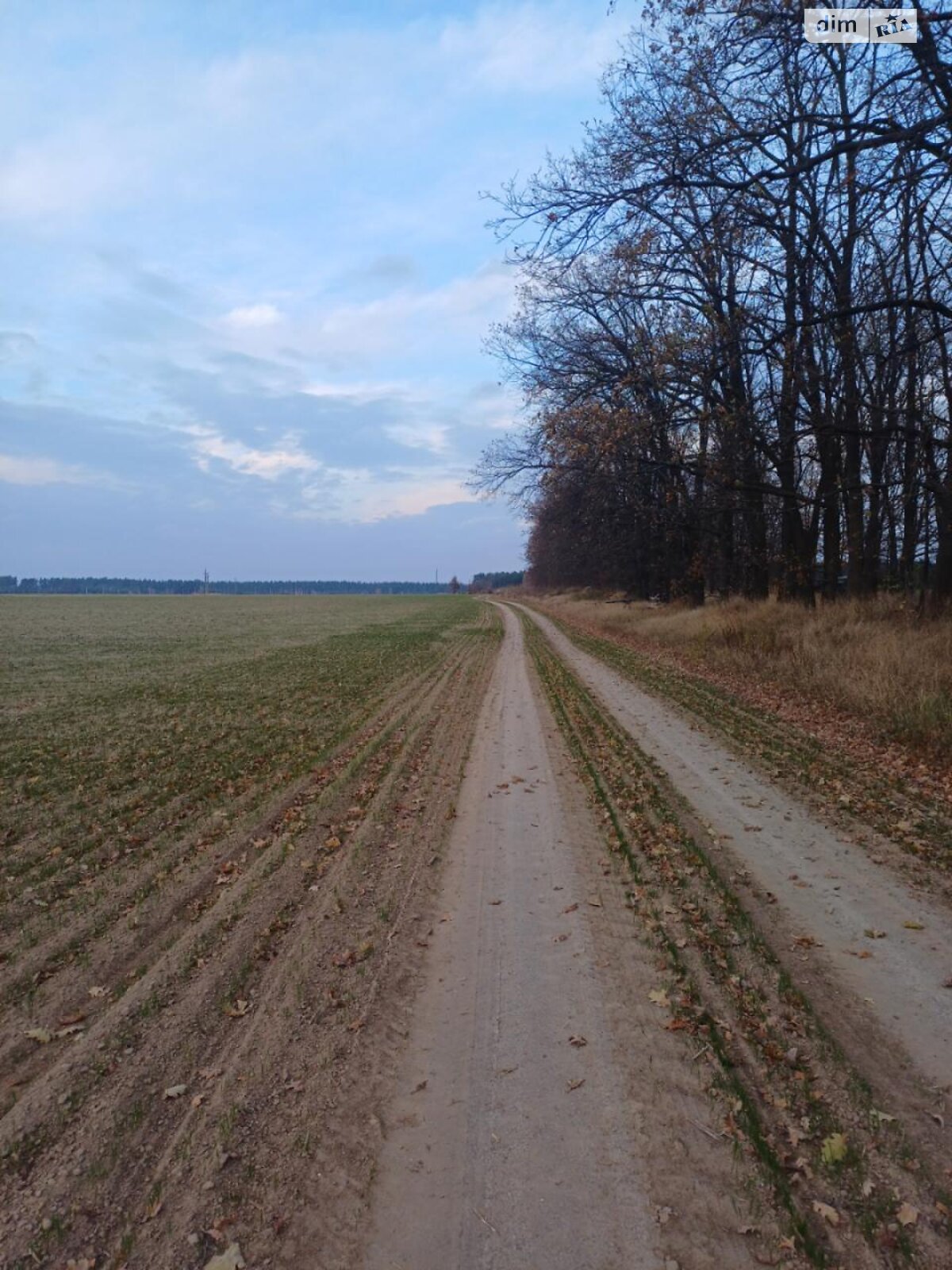 Земельный участок сельскохозяйственного назначения в Забырье, площадь 302.25 сотки фото 1