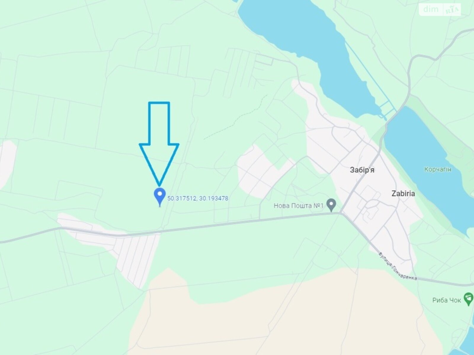 Земельный участок сельскохозяйственного назначения в Забырье, площадь 302.25 сотки фото 1