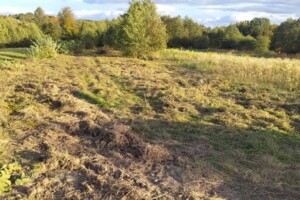 Земельный участок сельскохозяйственного назначения в Задебрях, площадь 19.57 сотки фото 2 Земельный участок сельскохозяйственного назначения в Задебрях, площадь 19.57 сотки фото 2