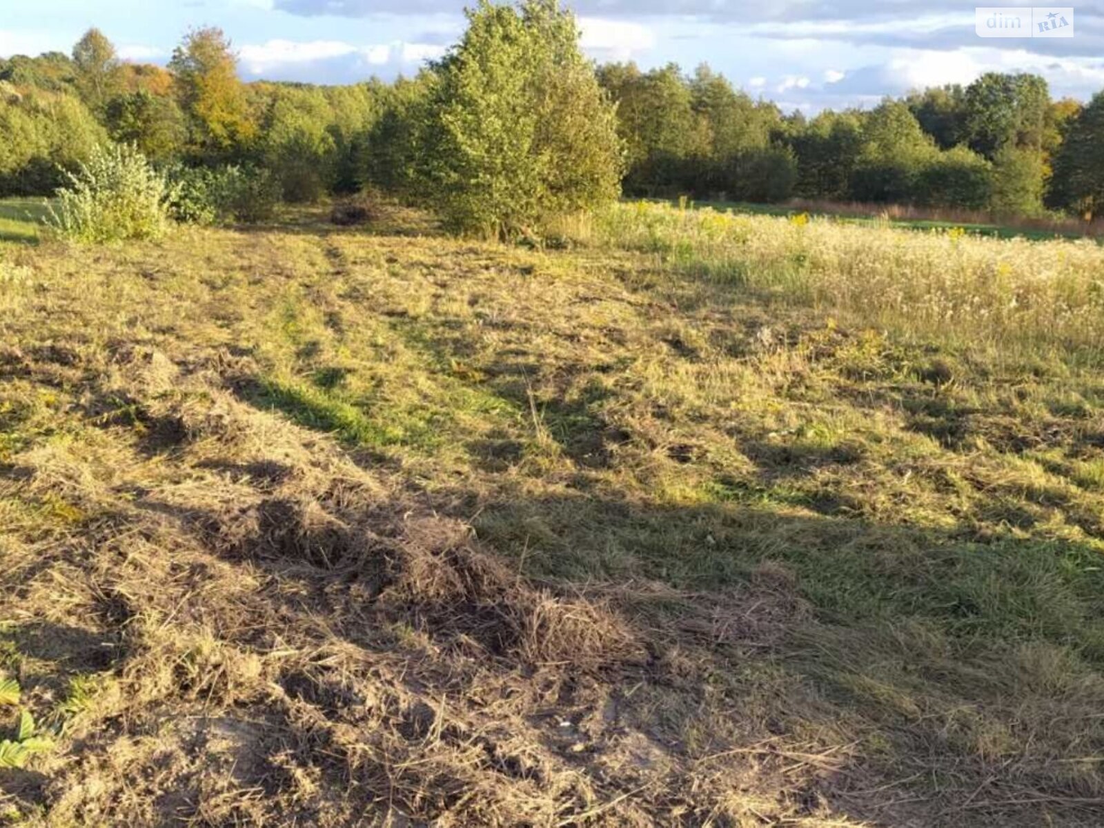 Земельный участок сельскохозяйственного назначения в Задебрях, площадь 19.57 сотки фото 1 Земельный участок сельскохозяйственного назначения в Задебрях, площадь 19.57 сотки фото 1
