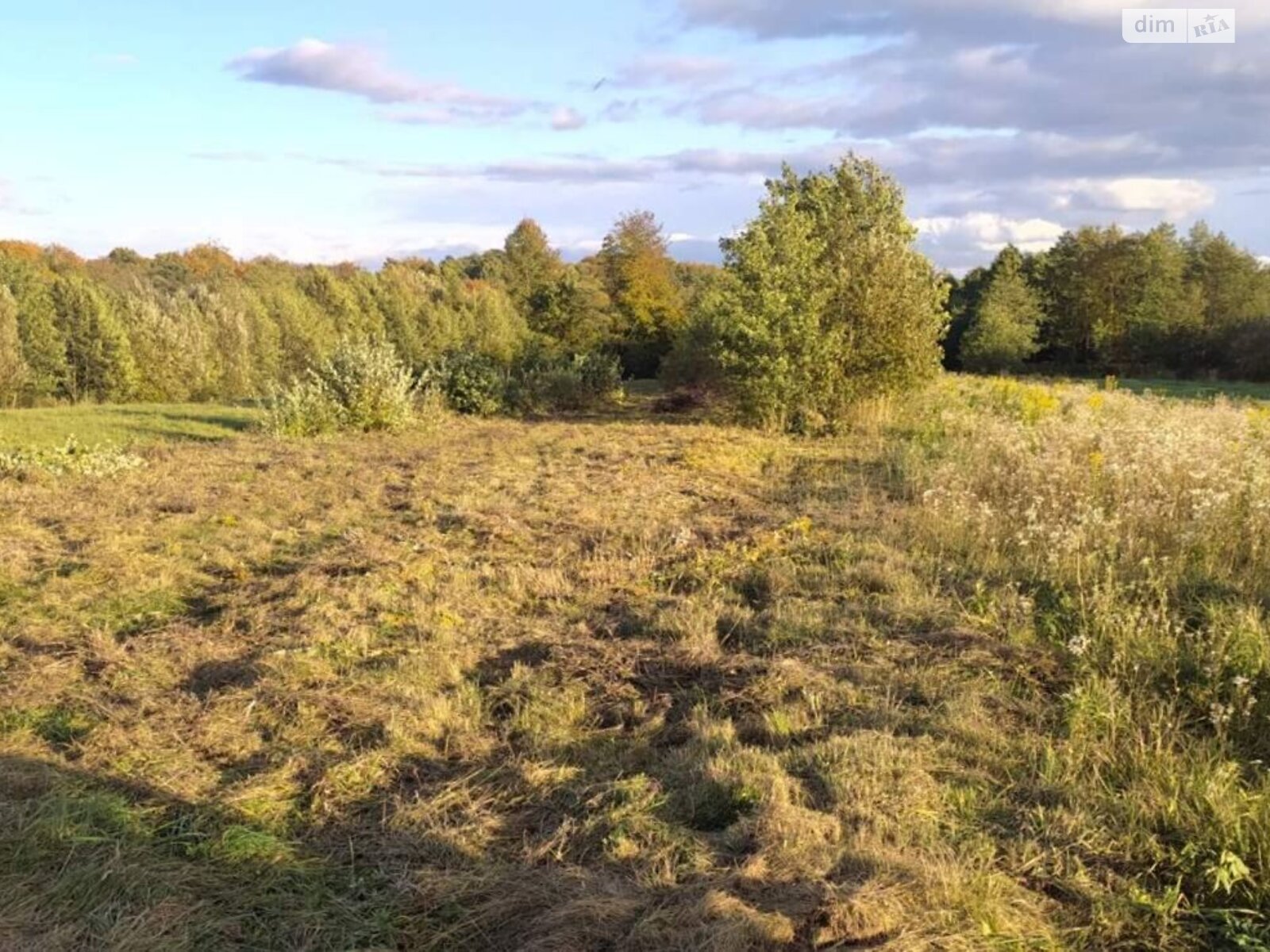 Земельный участок сельскохозяйственного назначения в Задебрях, площадь 19.57 сотки фото 1 Земельный участок сельскохозяйственного назначения в Задебрях, площадь 19.57 сотки фото 1