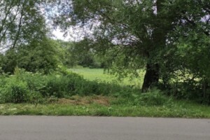 Земельный участок сельскохозяйственного назначения в Загорье, площадь 148 соток фото 2