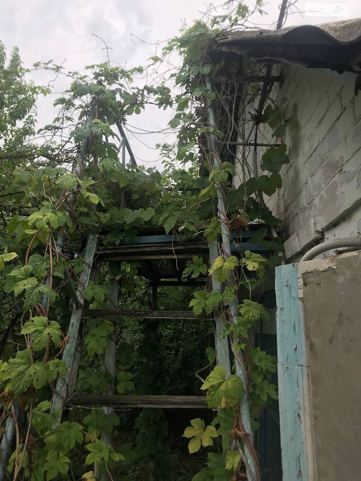 Земля сільськогосподарського призначення в Запоріжжі, район Військове Містечко, площа 0.0614 Га фото 1 Земля сільськогосподарського призначення в Запоріжжі, район Військове Містечко, площа 0.0614 Га фото 1