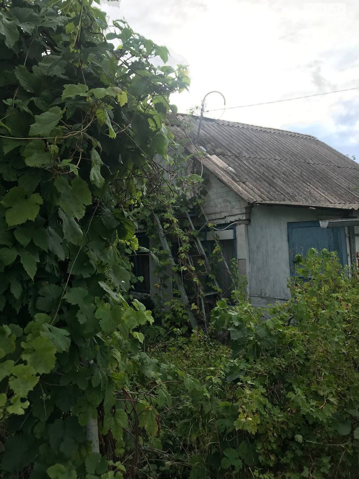 Земля сільськогосподарського призначення в Запоріжжі, район Військове Містечко, площа 0.0614 Га фото 1 Земля сільськогосподарського призначення в Запоріжжі, район Військове Містечко, площа 0.0614 Га фото 1