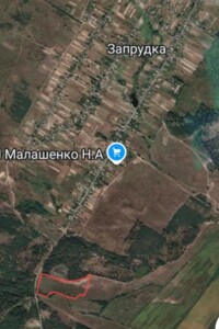 Земельна ділянка сільськогосподарського призначення в Запрудці, площа 3.725 Га фото 2