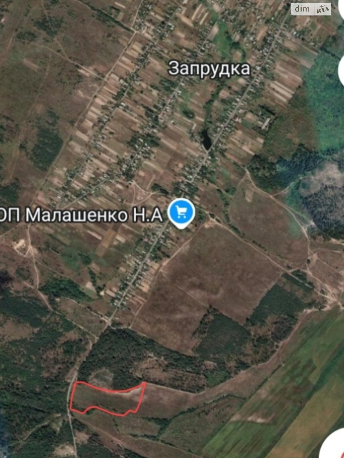Земельна ділянка сільськогосподарського призначення в Запрудці, площа 3.725 Га фото 1 Земельна ділянка сільськогосподарського призначення в Запрудці, площа 3.725 Га фото 1
