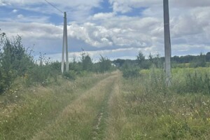 Земельный участок сельскохозяйственного назначения в Зарванцах, площадь 1 Га фото 2