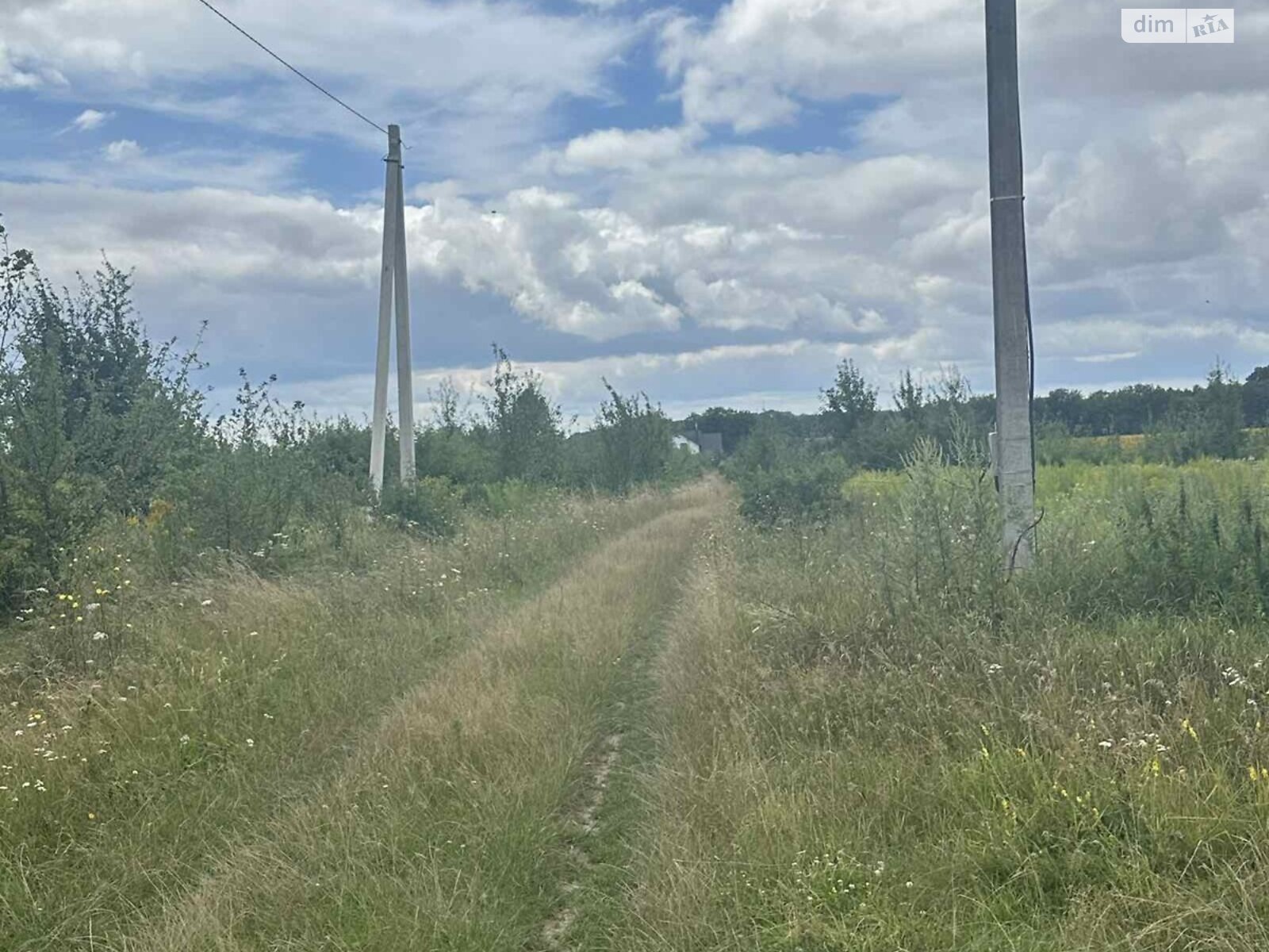 Земельный участок сельскохозяйственного назначения в Зарванцах, площадь 1 Га фото 1 Земельный участок сельскохозяйственного назначения в Зарванцах, площадь 1 Га фото 1
