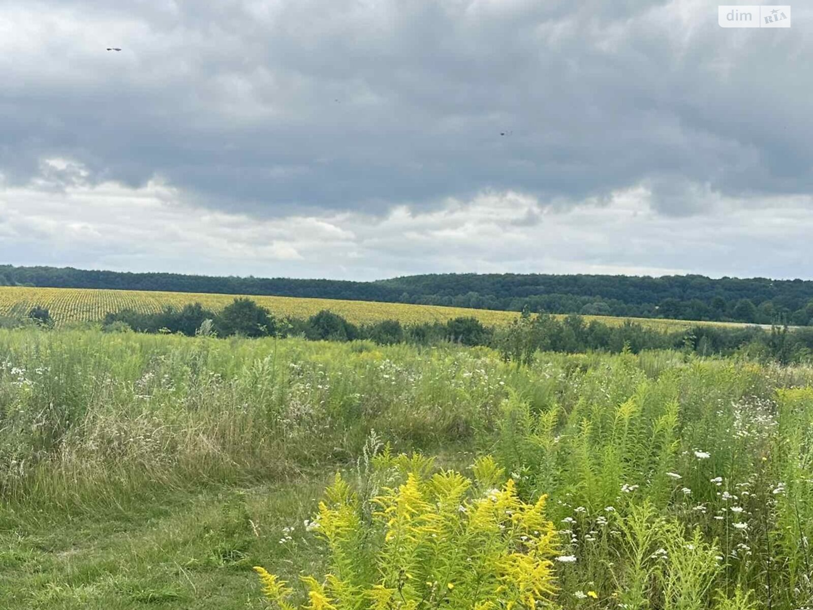 Земельный участок сельскохозяйственного назначения в Зарванцах, площадь 1 Га фото 1 Земельный участок сельскохозяйственного назначения в Зарванцах, площадь 1 Га фото 1