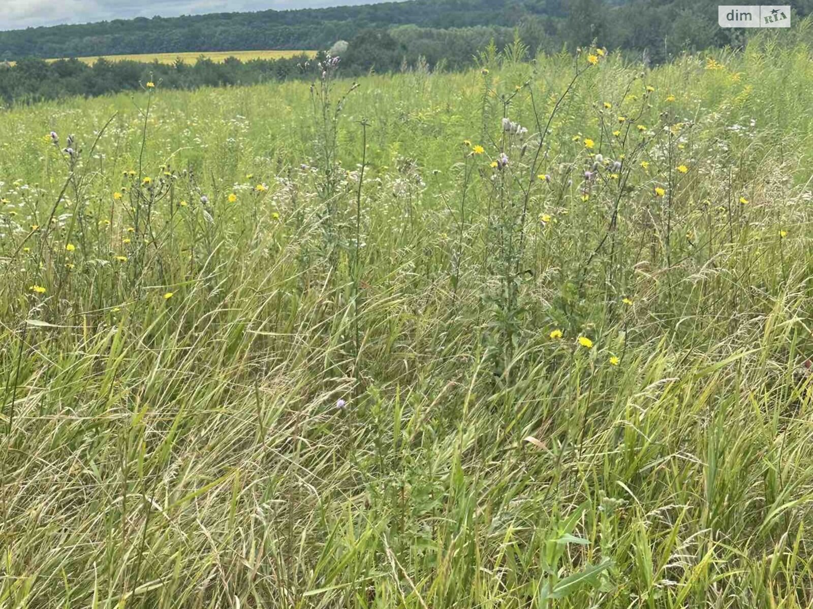 Земельный участок сельскохозяйственного назначения в Зарванцах, площадь 1 Га фото 1 Земельный участок сельскохозяйственного назначения в Зарванцах, площадь 1 Га фото 1