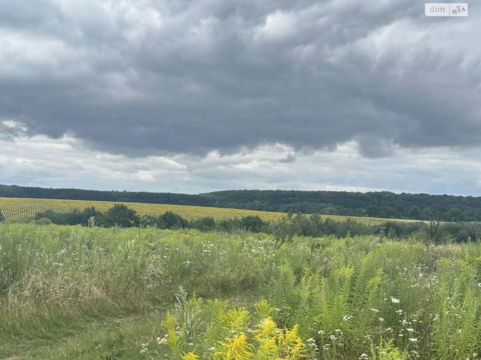 Земельный участок сельскохозяйственного назначения в Зарванцах, площадь 1 Га фото 1 Земельный участок сельскохозяйственного назначения в Зарванцах, площадь 1 Га фото 1