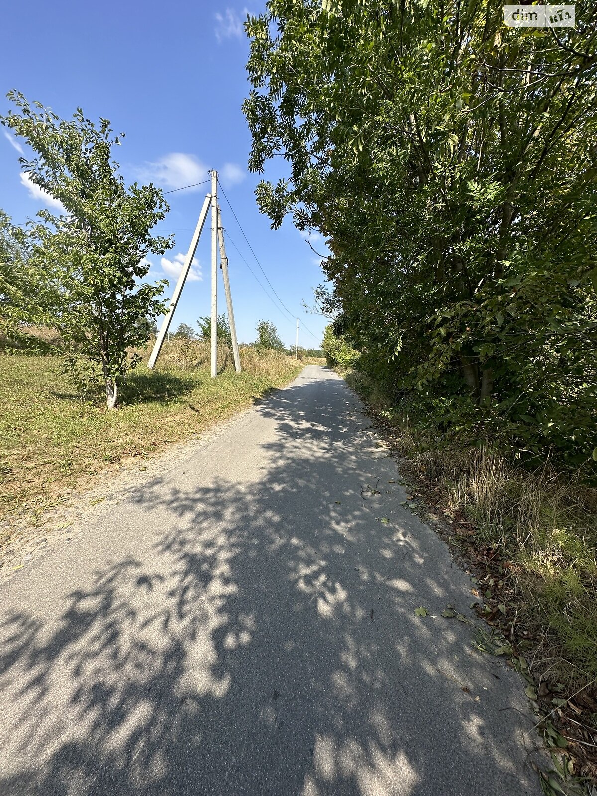 Земельна ділянка сільськогосподарського призначення в Зарванцях, площа 35 соток фото 1