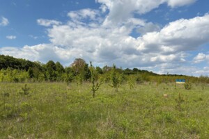 Земельна ділянка сільськогосподарського призначення в Зарванцях, площа 20 соток фото 2