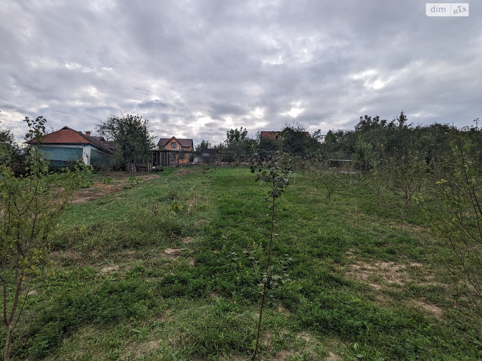 Земельна ділянка сільськогосподарського призначення в Зарванцях, площа 30 соток фото 1