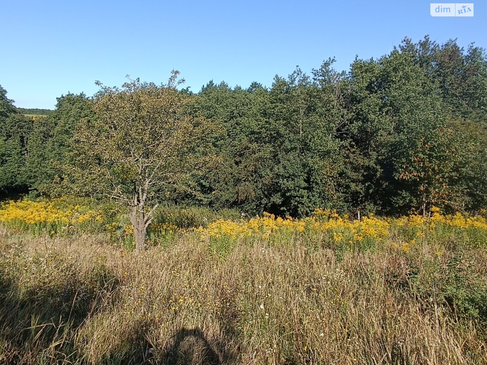 Земельный участок сельскохозяйственного назначения в Зарванцах, площадь 8 соток фото 1