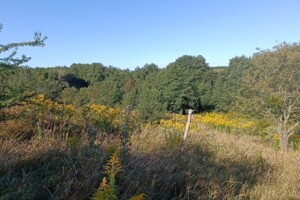 Земельный участок сельскохозяйственного назначения в Зарванцах, площадь 8 соток фото 2