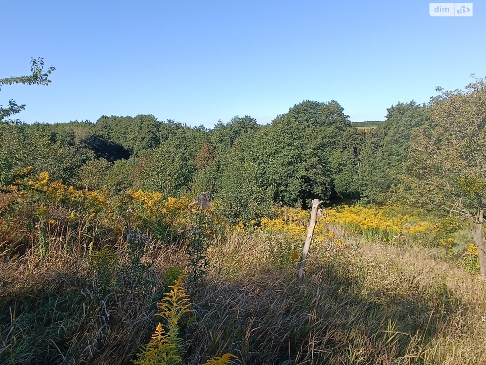 Земельный участок сельскохозяйственного назначения в Зарванцах, площадь 8 соток фото 1