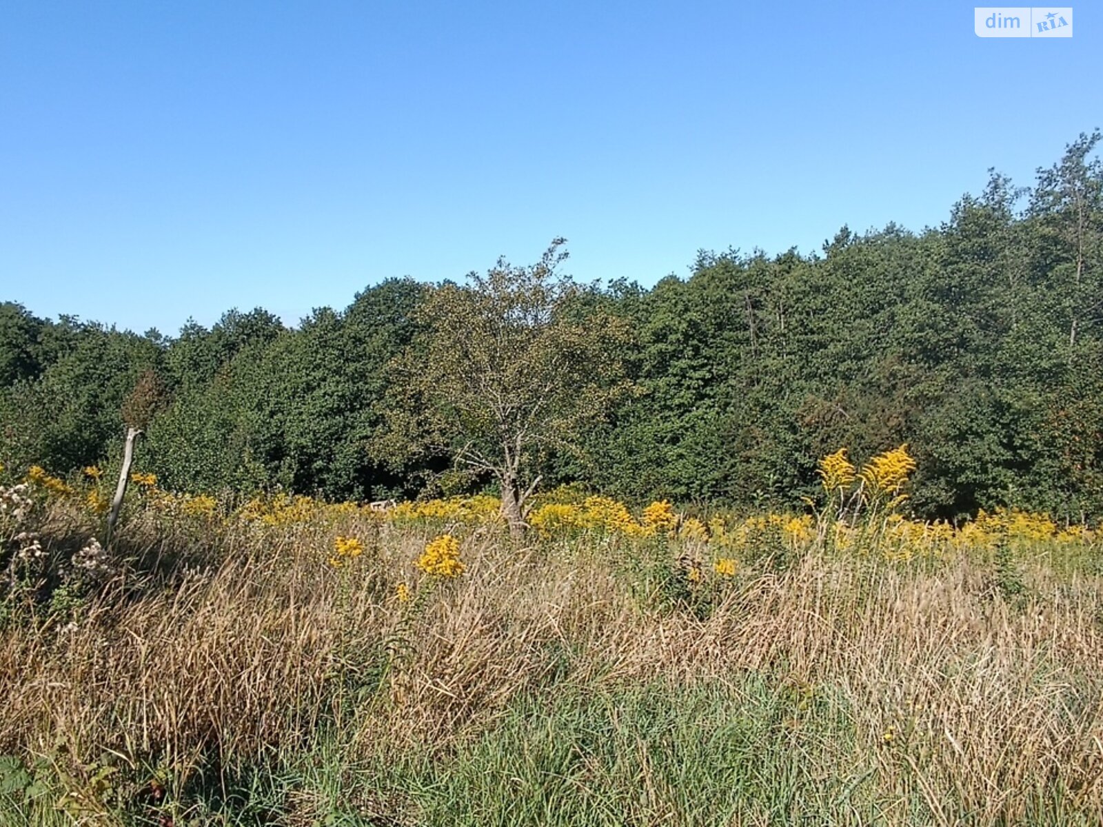 Земельный участок сельскохозяйственного назначения в Зарванцах, площадь 8 соток фото 1