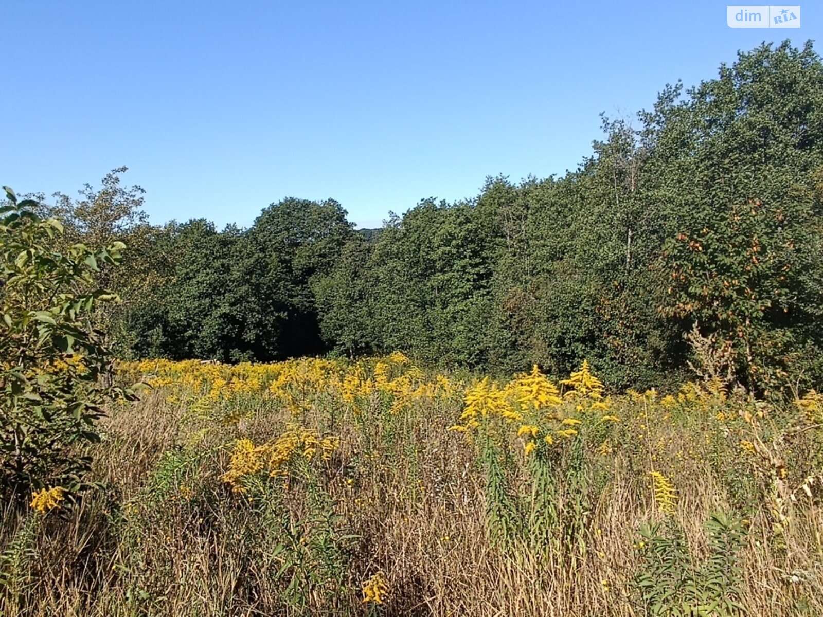 Земельный участок сельскохозяйственного назначения в Зарванцах, площадь 8 соток фото 1