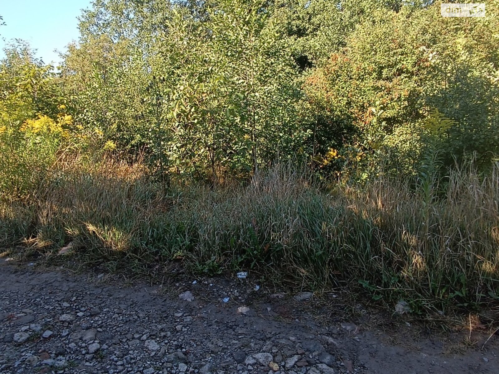 Земельный участок сельскохозяйственного назначения в Зарванцах, площадь 8 соток фото 1