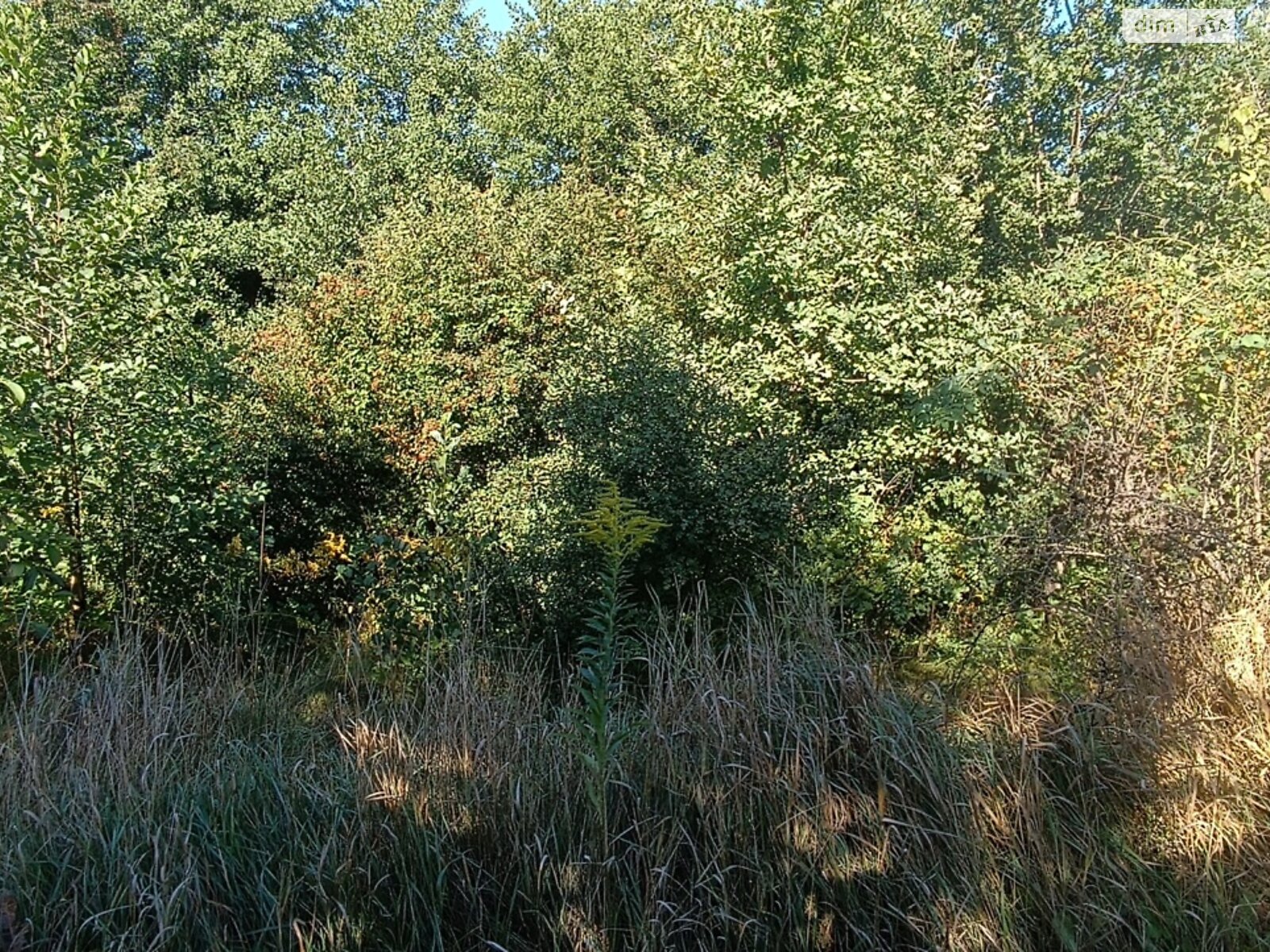 Земельный участок сельскохозяйственного назначения в Зарванцах, площадь 8 соток фото 1