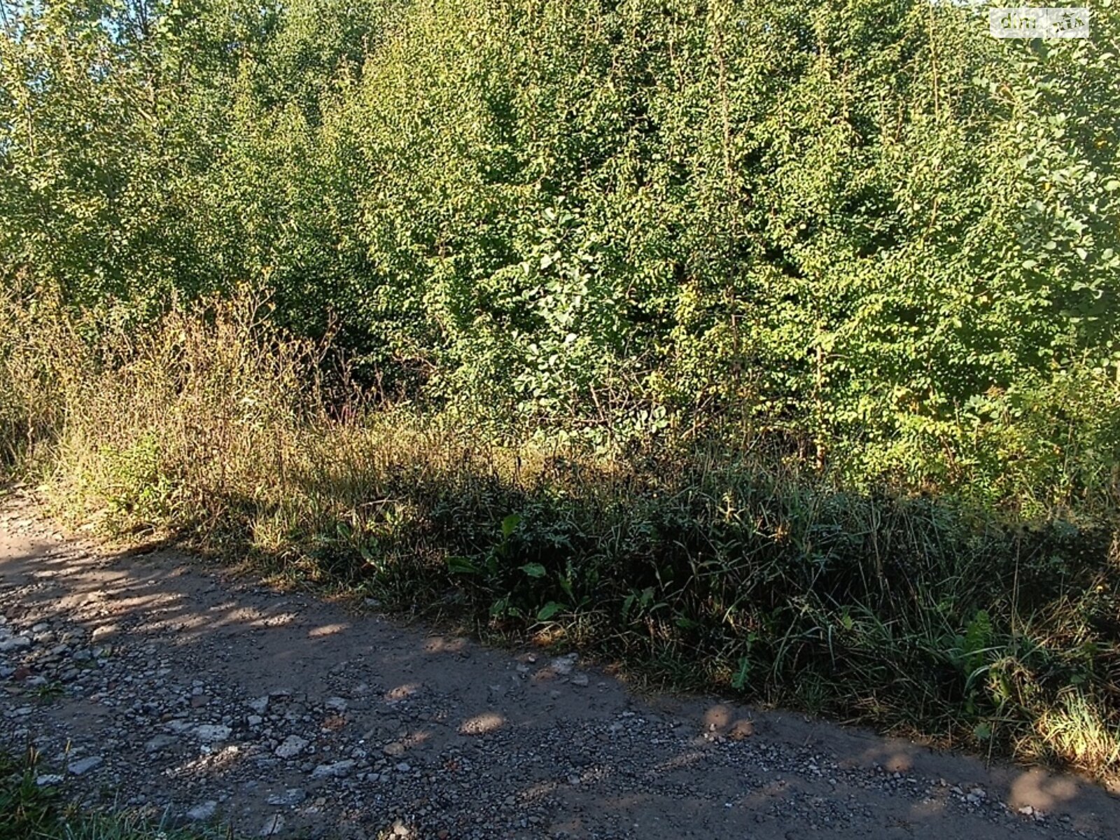 Земельный участок сельскохозяйственного назначения в Зарванцах, площадь 8 соток фото 1